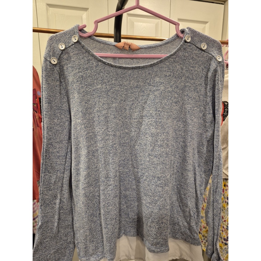 Iyla Woman Blue Top Blouse Long Sleeve Pullover Size‎ L GUC - Picture 2 of 10